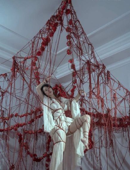 成人aaa_DVD全集在线观看