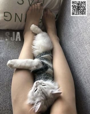 欧美13一14娇小性_HD完整在线观看