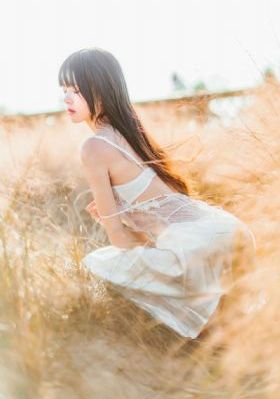 国产丝袜诱惑_DVD高清完整版